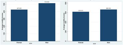 Gap and Inequality in the Economic Income of Independent Workers in the Region of Puno-Peru and the Effect of the Pandemic, 2019–2020